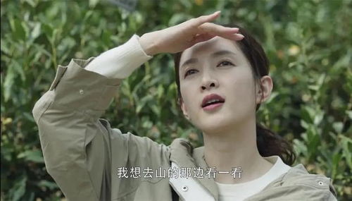  短剧影后重生顾大编剧你别跑全集观看--第1张