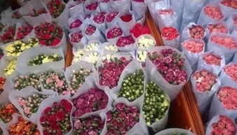 深圳鲜花市场批发市场在哪里批发  深圳鲜花市场批发市场在哪里批发--第1张