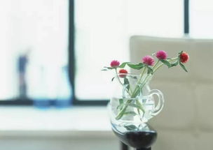 鲜花小镇花瓶大全图表  鲜花小镇花瓶大全图表--第1张