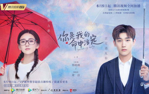 短剧闪婚幸运草的命中注定全集观看  短剧闪婚幸运草的命中注定全集观看——一场命中注定的爱情故事--第1张