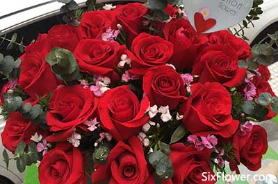 26朵玫瑰花爱情寓意  26朵玫瑰花爱情寓意，26朵玫瑰花，浪漫与承诺的爱情寓意--第1张