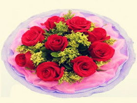 9朵玫瑰花来安慰是什么意思  ，9朵玫瑰花来安慰的含义，9朵玫瑰花来安慰，浪漫与情感的交织--第1张