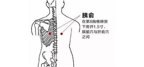 短剧新～狂龙战神全集观看  短剧新篇狂龙战神全集观看--第1张