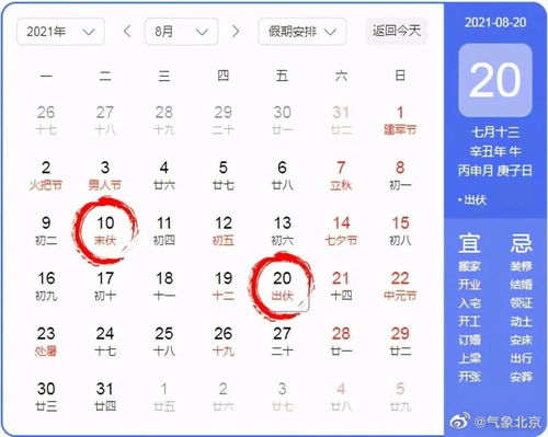 短剧闪婚当天植物人老公站起来了全集观看  短剧闪婚当天植物人老公站起来了全集观看，闪婚当天，植物人老公突然站起来了--第1张