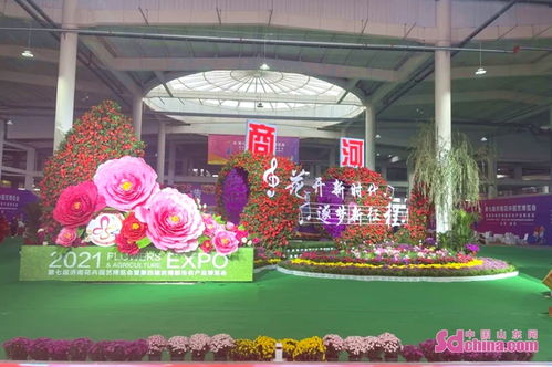 中国花卉园艺  中国花卉园艺，传承与创新的美学盛宴--第1张