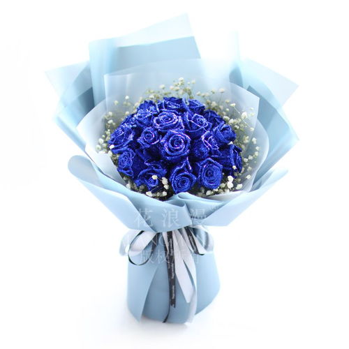 蓝玫瑰的花语代表什么  蓝玫瑰的花语代表什么，蓝玫瑰的花语，神秘、唯美、永恒的爱情--第1张