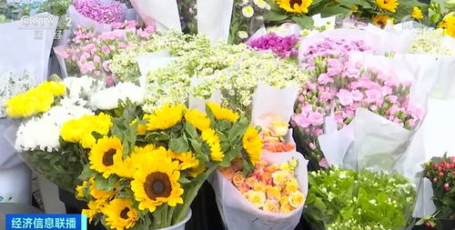 康乃馨花店里一支多少钱  康乃馨花店里一支多少钱--第1张