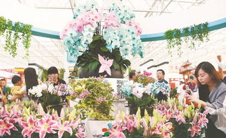 鲜花网站名称  鲜花网站名称，选择高质量鲜花，享受美好生活--第1张