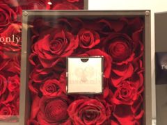 roseonly永生花熊价格  Roseonly永生花熊价格，揭示永恒爱情背后的秘密--第1张