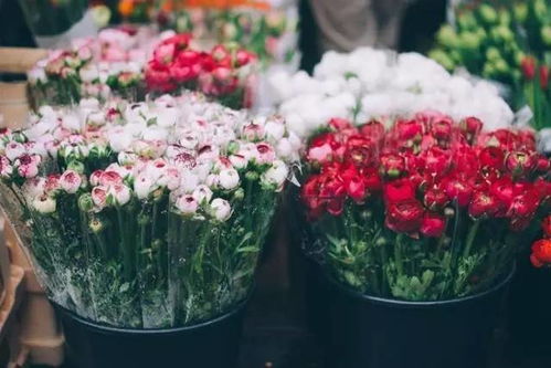 鲜花店一年能赚多少钱?  鲜花店一年能赚多少钱？--第1张