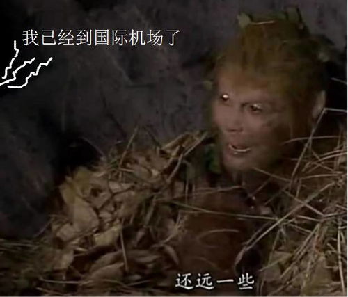 短剧我给神仙送外卖全集观看  短剧我给神仙送外卖全集观看--第1张
