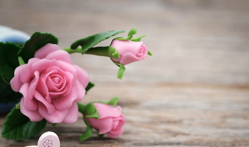 红色玫瑰花代表的含义  红色玫瑰花，爱的象征--第1张