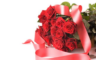 11朵玫瑰花代表什么花语  11朵玫瑰花的花语，爱的最高点，11朵玫瑰花的花语，爱的最高点--第1张