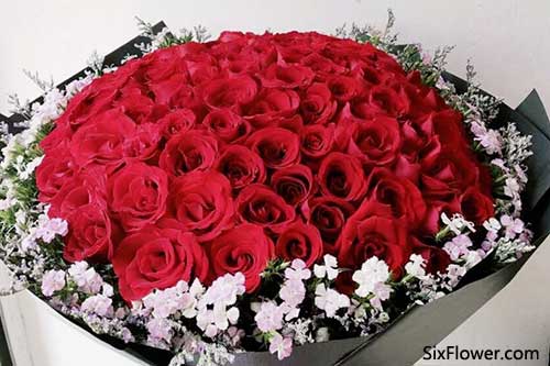 花语18朵玫瑰代表什么  花语18朵玫瑰代表什么--第1张
