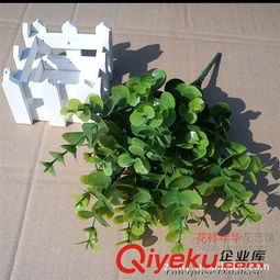 绿植批发网站  绿植批发网站，一站式购物的绿色选择--第1张