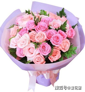 粉玫瑰花语文案  粉玫瑰花语文案，粉玫瑰文案，浪漫的粉玫瑰，让爱情更加甜蜜！--第1张