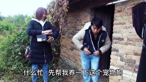 短剧来自深山的凝望亲爱的翻越那深山你好我的姐姐长篇全集观看  短剧来自深山的凝望，深山凝望，穿越深山的爱与亲情--第1张