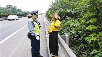短剧厉总醒醒夫人带娃跑啦全集观看  短剧厉总醒醒，夫人带娃跑啦全集观看，厉总醒醒，夫人带娃跑啦全集在线观看，总裁追妻火葬场--第1张