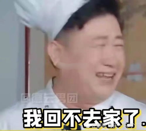 短剧霍总夫人让您闭嘴全集观看  短剧霍总夫人让您闭嘴全集观看，霍总夫人让您闭嘴全集免费观看--第1张