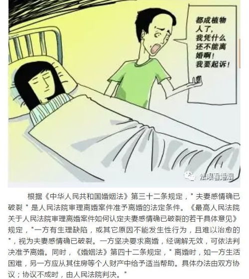 短剧替嫁后植物人老公突然醒了全集观看  短剧替嫁后，植物人老公突然醒了全集观看，替嫁后，植物人老公突然醒了全集免费观看--第1张