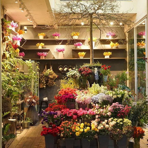 实体店鲜花店连锁加盟  实体店鲜花店连锁加盟，打造鲜花行业的黄金产业链--第1张