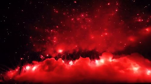 满天星花语我携满天星辰  满天星，我携满天星辰--第1张