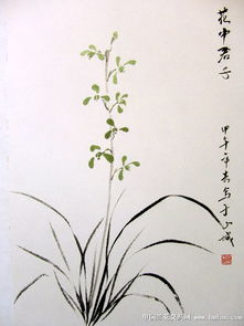 花中君子是谁  花中君子是谁，花中君子指的是梅花、菊花、兰花、荷花等花卉，它们被视为花中的高尚品格和纯真气质的代表，常被用来比喻人的高尚品质。--第1张