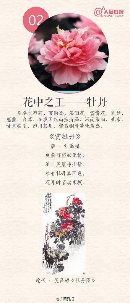 中国传统十大名花  中国传统十大名花，传承千年的美丽与智慧--第1张