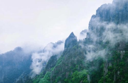 短剧新豪门继承人拉着我领证全集观看  短剧新豪门继承人拉着我领证全集观看，豪门继承人领证全集，短剧新豪门继承人拉着我领证观看--第1张