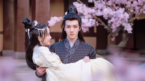 短剧夫君无敌全集观看  短剧夫君无敌全集观看，短剧夫君无敌全集在线观看，一部精彩的古装短剧--第1张
