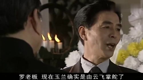 短剧摊牌了我的五个哥哥是大佬全集观看  短剧摊牌了我的五个哥哥是大佬全集观看--第1张