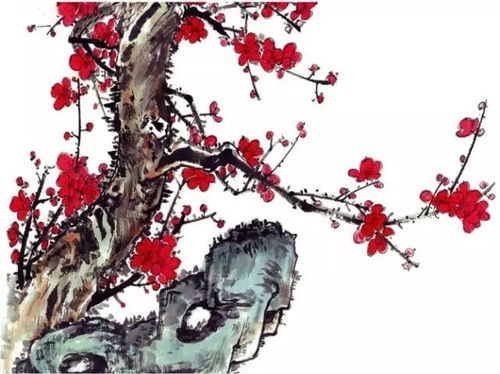 古诗中梅花的象征意义  古诗中梅花的象征意义，古诗中梅花的傲雪精神象征意义--第1张