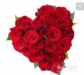 情人节礼物送女友什么合适  情人节礼物送女友什么合适--第1张
