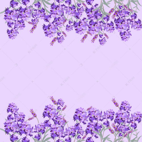 鲜花背景图  鲜花背景图——浪漫与温馨的完美融合--第1张