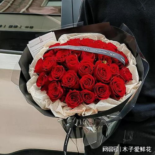 送女生33朵玫瑰的含义  送女生33朵玫瑰的含义--第1张