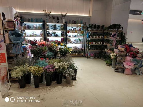 成都花店转让  成都花店转让，成都花店转让，优质花店等待有缘人接手--第1张