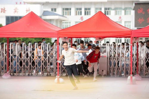 女人发1个玫瑰表情  女人发1个玫瑰表情，解读情感背后的秘密--第1张