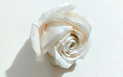 暮夏玫瑰折纸教程  暮夏玫瑰折纸教程，暮夏玫瑰折纸教程，折出浪漫的夏日之花--第1张
