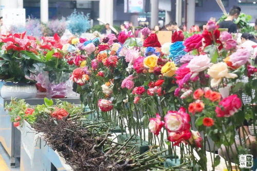 北京卖鲜花最便宜的地方  北京卖鲜花最便宜的地方--第1张