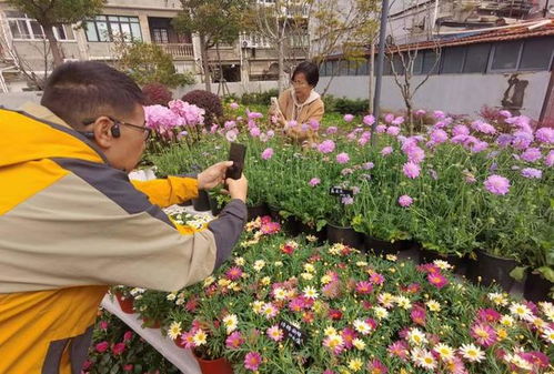 北京卖花的地方  北京卖花的地方，北京卖花的地方，花卉市场和街头摊位--第1张