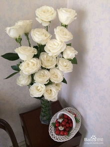 玫瑰花多少钱一束  玫瑰花的魅力与价格，一束玫瑰花的价值，玫瑰花的魅力与价格，一束玫瑰花的价值之谜--第1张
