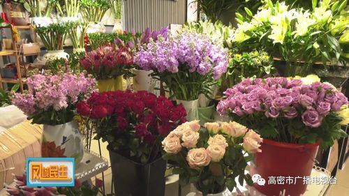 保定花之魅鲜花店电话  保定花之魅鲜花店电话--第1张