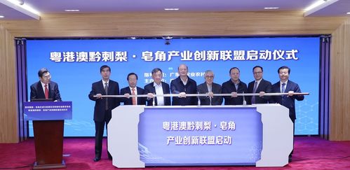 龙柏集团  龙柏集团，引领行业发展的领军企业，龙柏集团，行业发展的领军力量--第1张