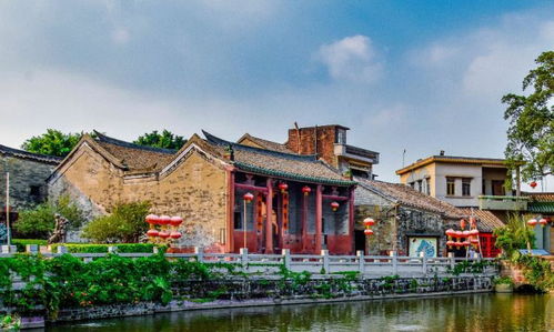 乌桕树有何寓意  乌桕树有何寓意，乌桕树的寓意为故乡的思念。--第1张