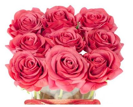 22朵玫瑰花花语是什么意思  22朵玫瑰花花语是什么，22朵玫瑰花语，爱在心头、双双对对。--第1张