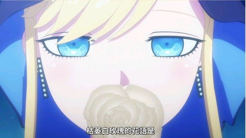 枯萎的白玫瑰的花语是什么  枯萎的白玫瑰的花语--第1张