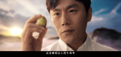 短剧我真的只想当纨绔对不起本少高高在下全集观看  短剧我真的只想当纨绔对不起本少高高在下全集观看--第1张