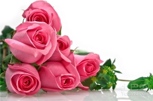 橙玫瑰花语  橙玫瑰花语——爱情、友情、青春与活力的象征，橙玫瑰的花语，爱情、友情、青春与活力--第1张