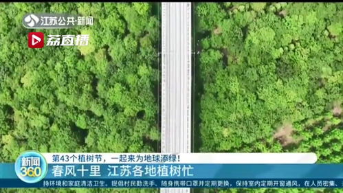 绿化养护  绿化养护，为绿色生活添砖加瓦--第1张