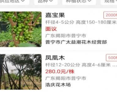 青青苗木网求购信息  青青苗木网求购信息——一站式采购平台，满足您的所有需求--第1张